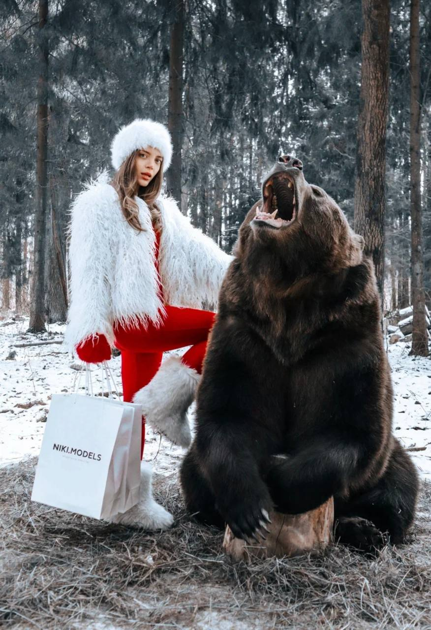 Модель NIKIFOROV